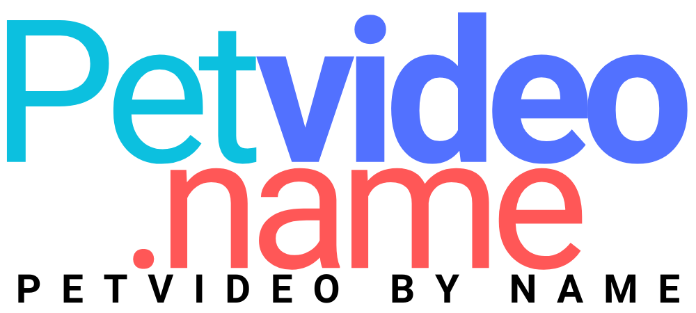 PetVideo.Name