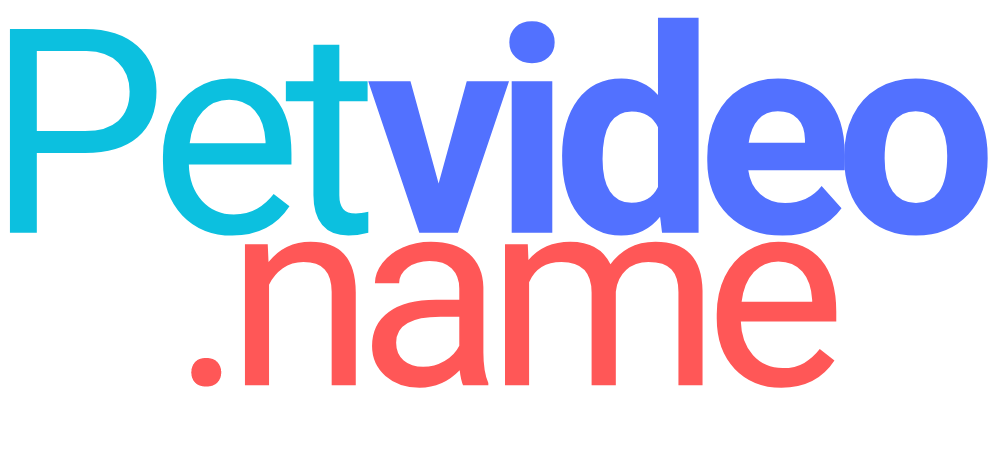 PetVideo.Name